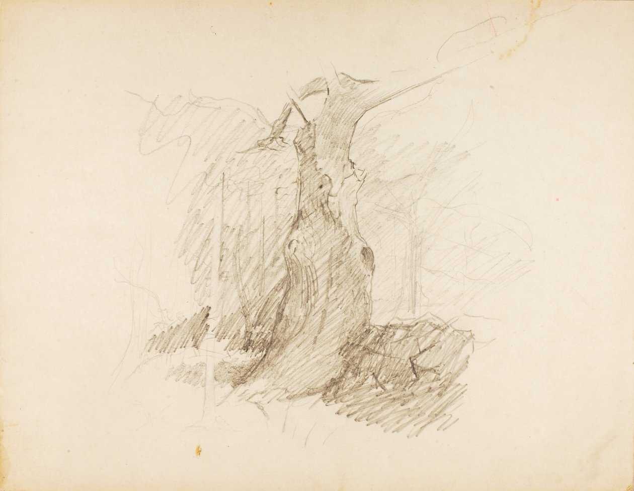 Untitled by Solon H. Borglum