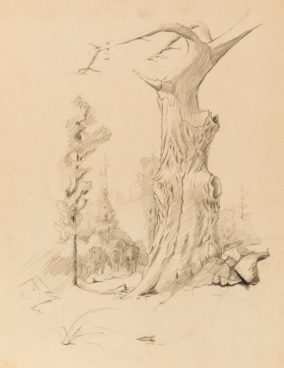 Untitled by Solon H. Borglum