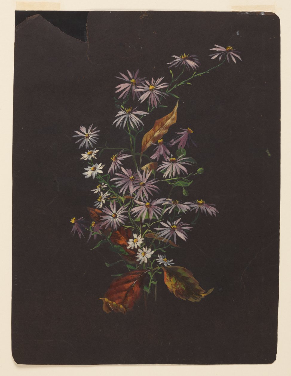 Study of an Autumn Bouquet by Sophia L. Crownfield