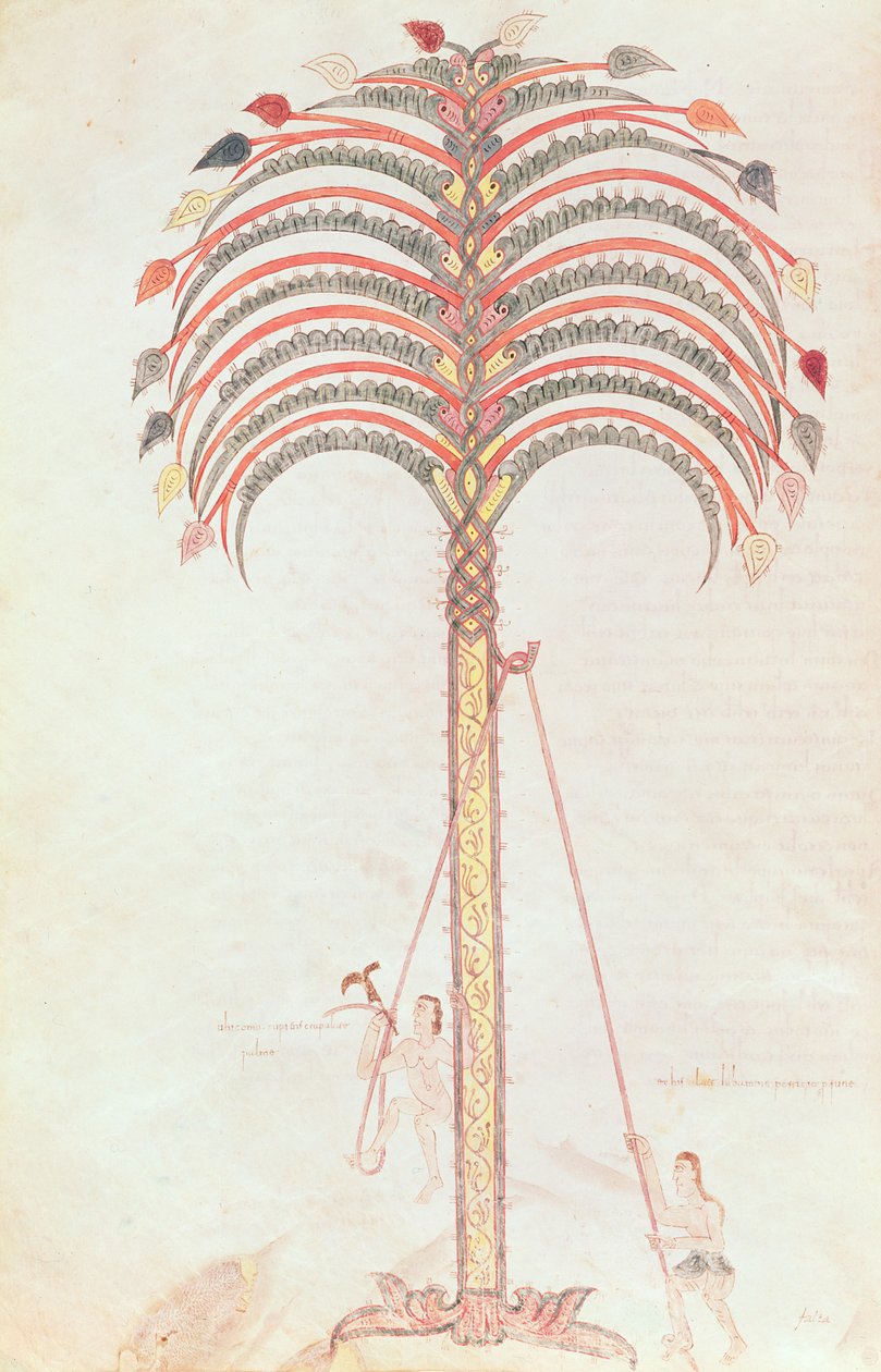The Metaphor of the Palm Tree, from the Girona Beatus by Spanish School
