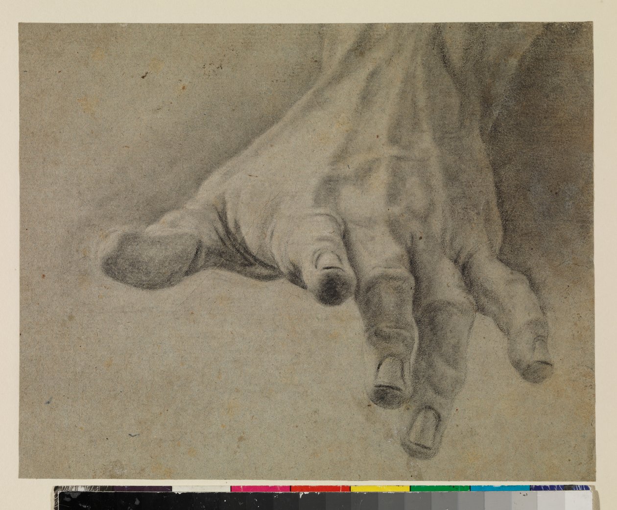 Study of a left hand, 18th century by Spanish School