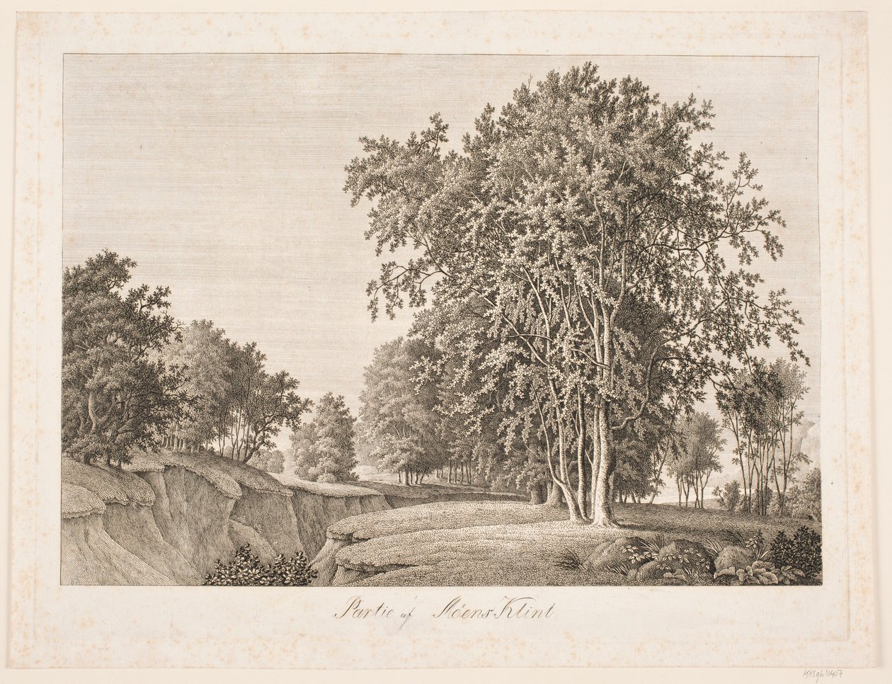 Part of Møns Klint by Søren Henrik Petersen