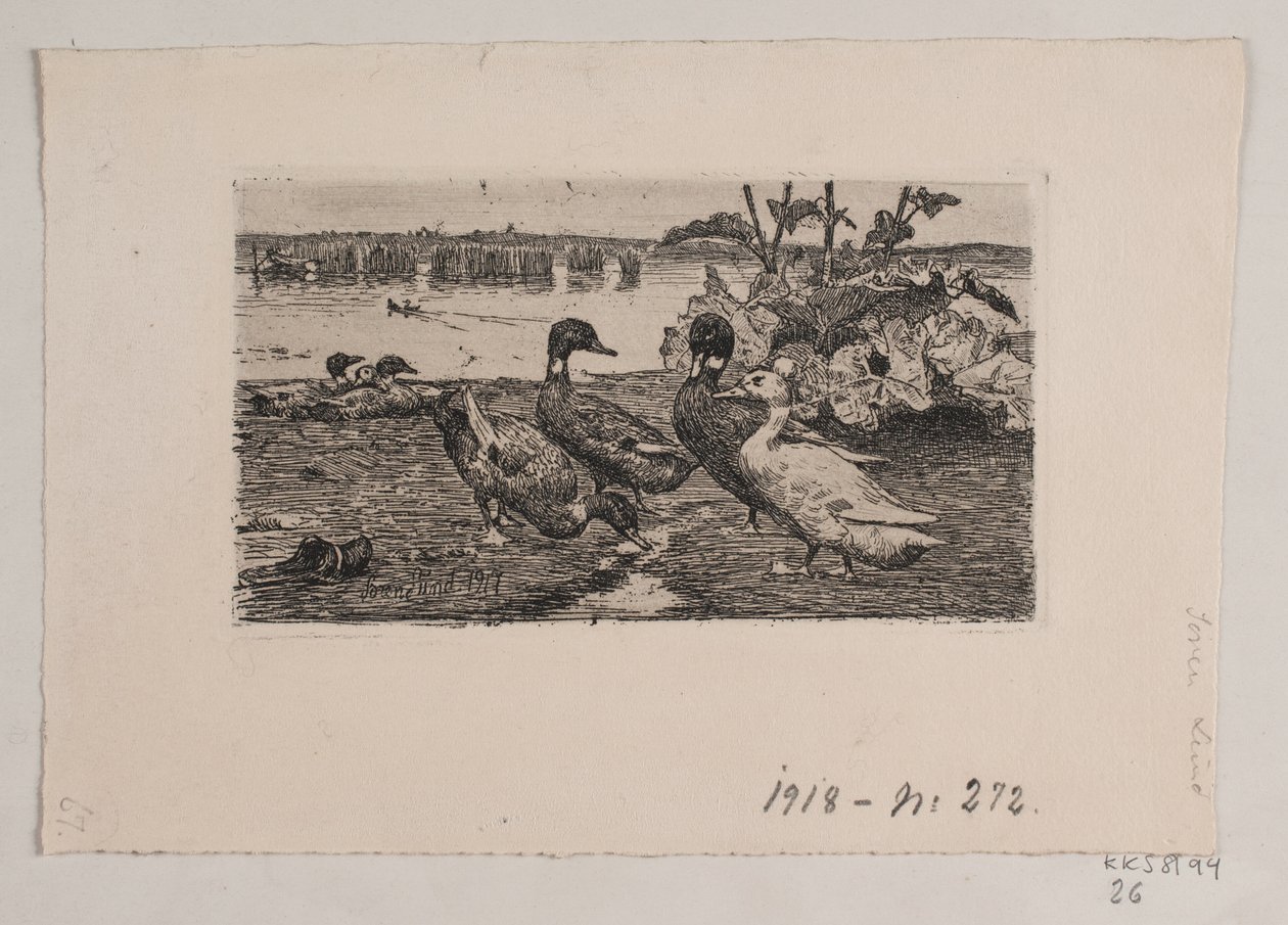 Ducks by Søren Lund
