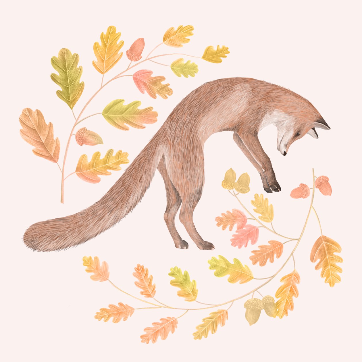 Jumping Fox by Stacy Hsu