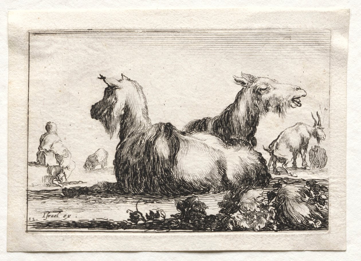 Caprices: Two Goats by Stefano della Bella