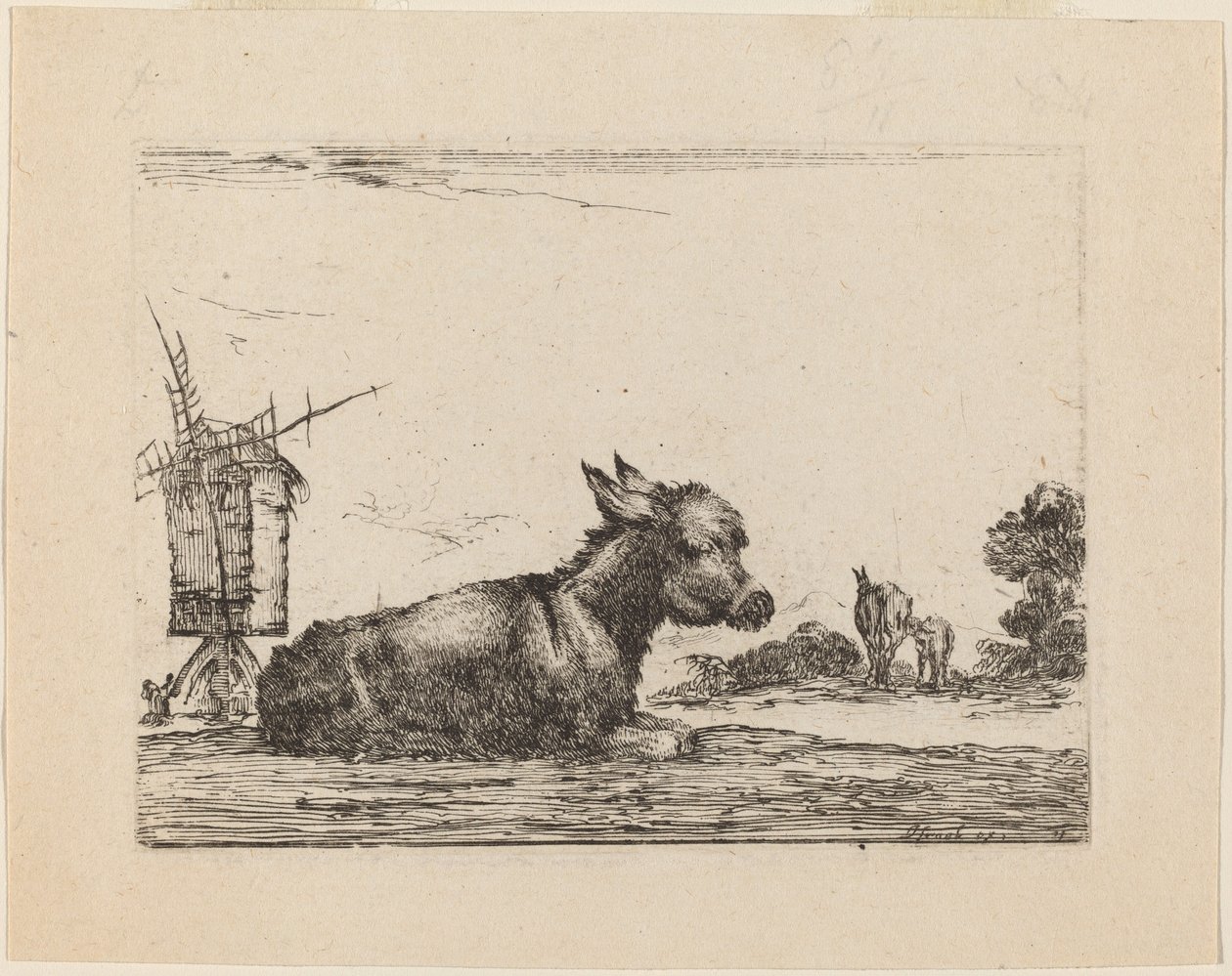 Donkey Resting by Stefano della Bella
