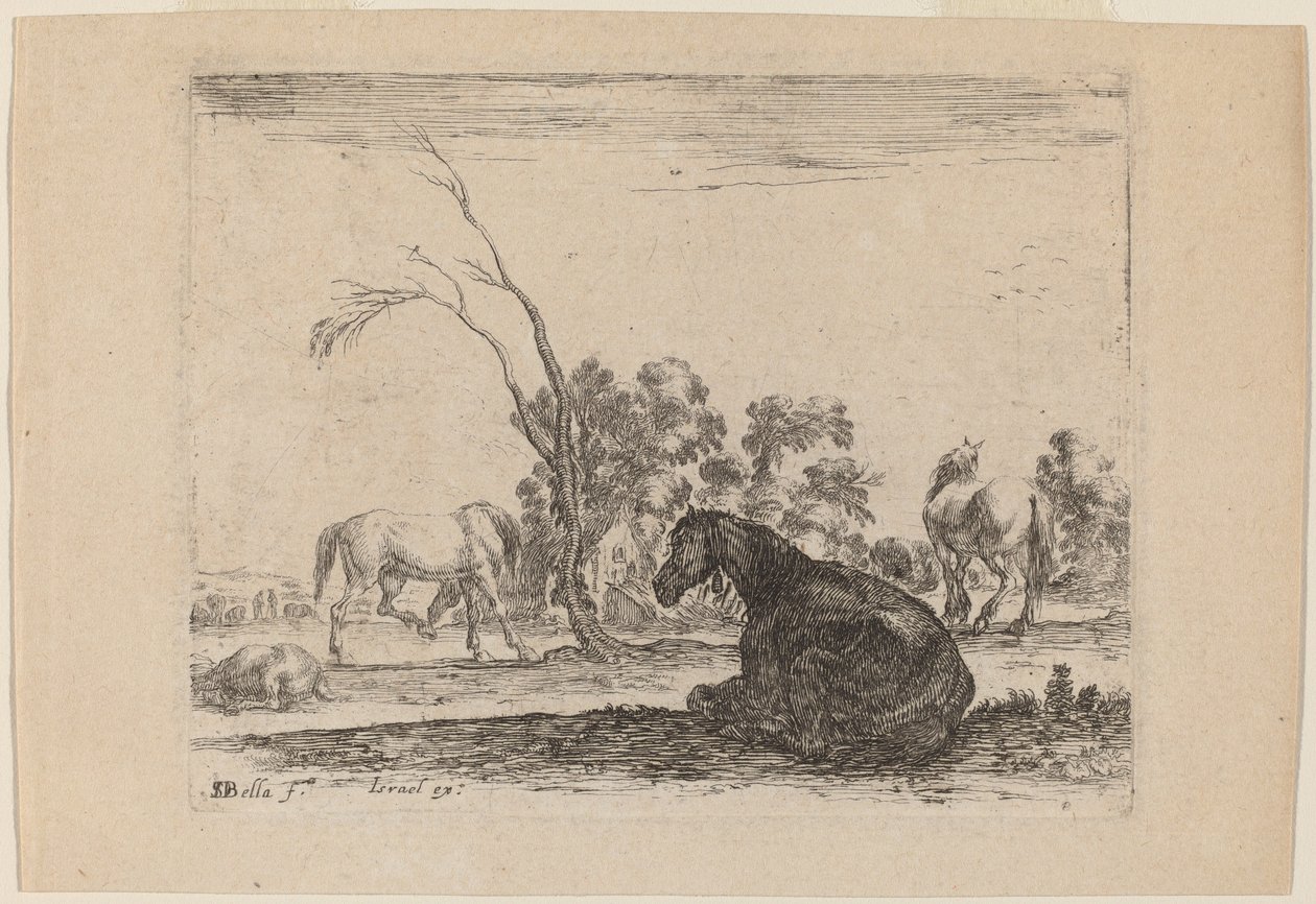 Horses in a Pasture by Stefano della Bella