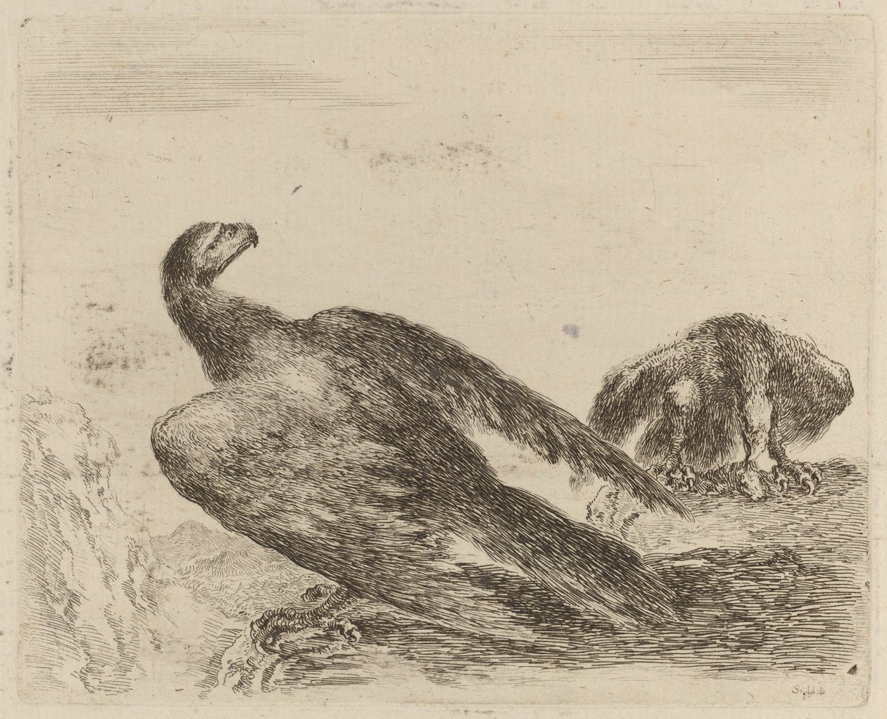 Two Eagles on a Promontory by Stefano della Bella