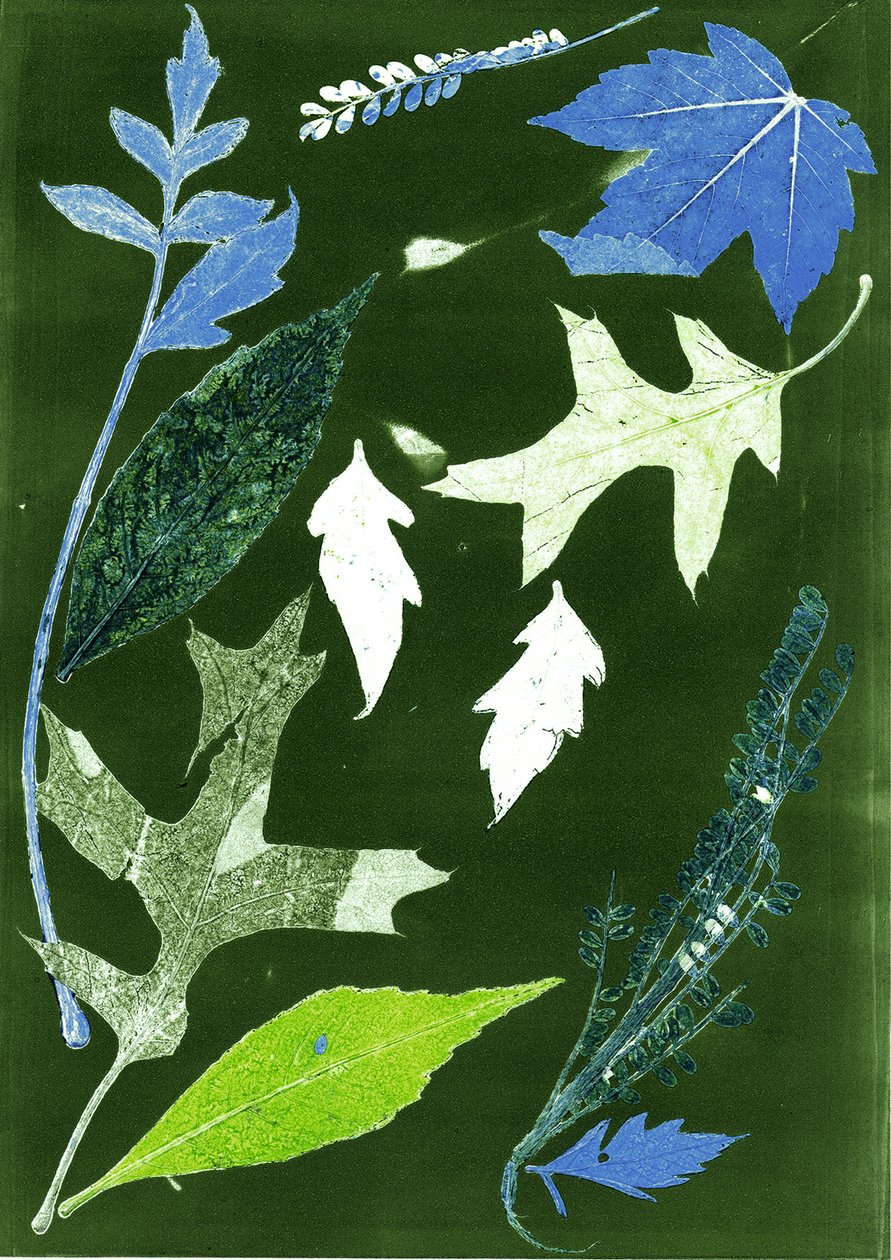 Jol X green by Stephen Dow