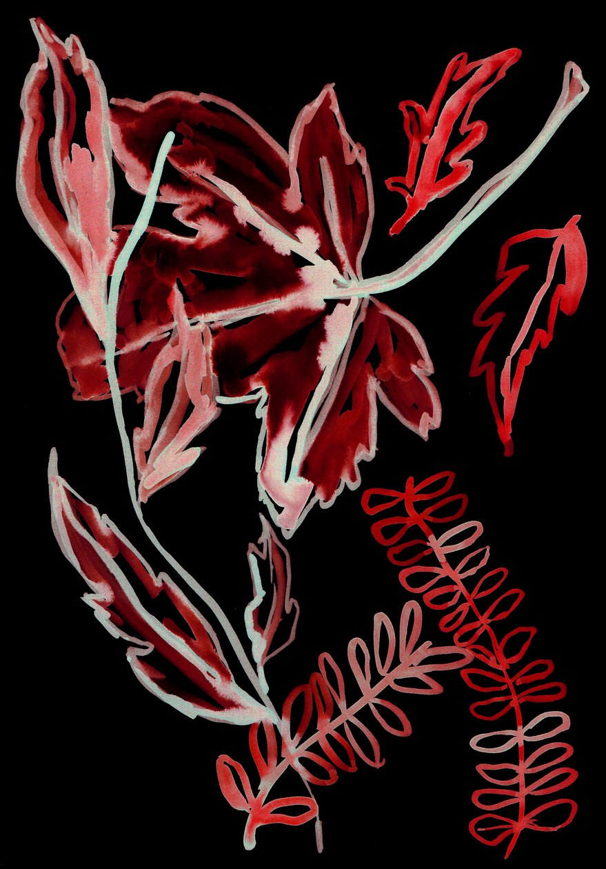Night Flora I by Stephen Dow