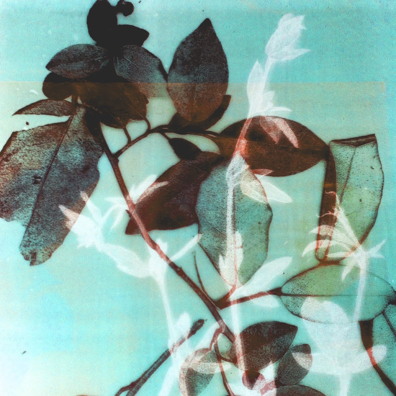 Season III by Stephen Dow