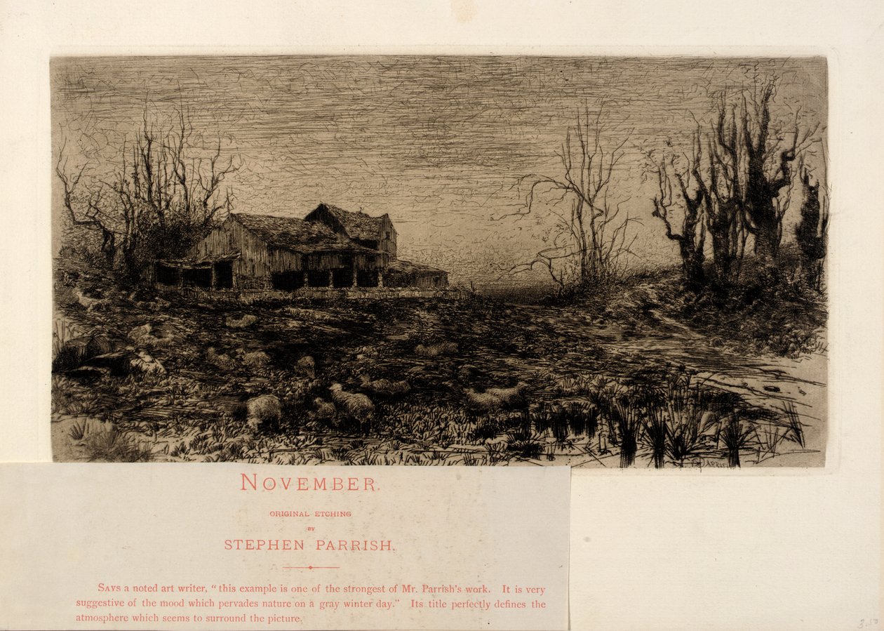 November by Stephen Parrish