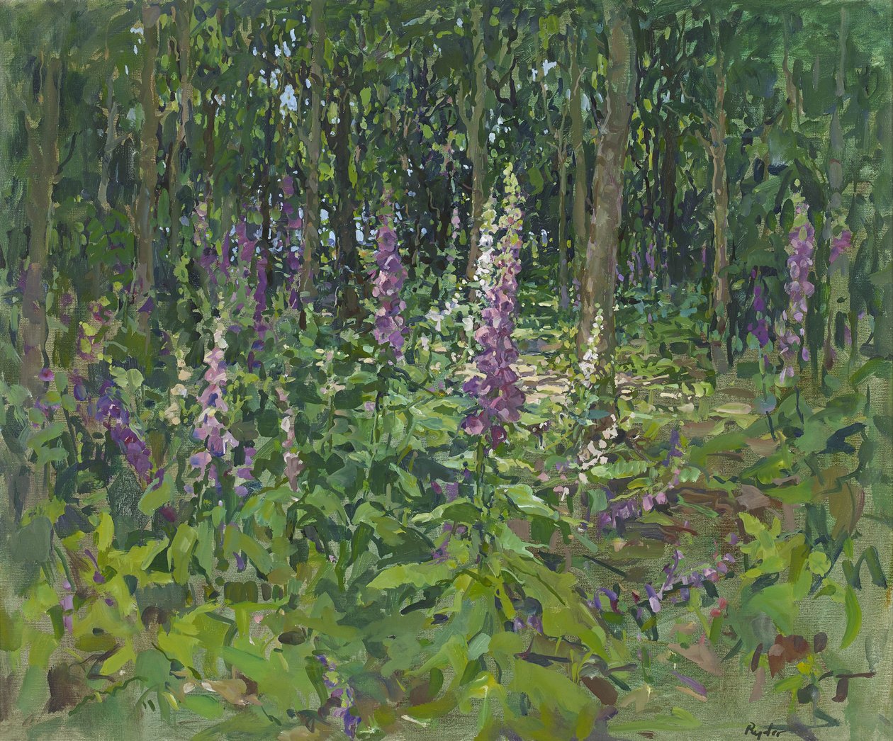 Foxgloves by Susan Ryder