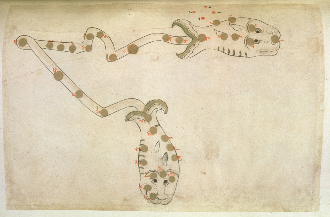 Representations of the Zodiac: Pisces, the fishes, 1497-1498 (903 Hijra) by Suvar Al Kavakib