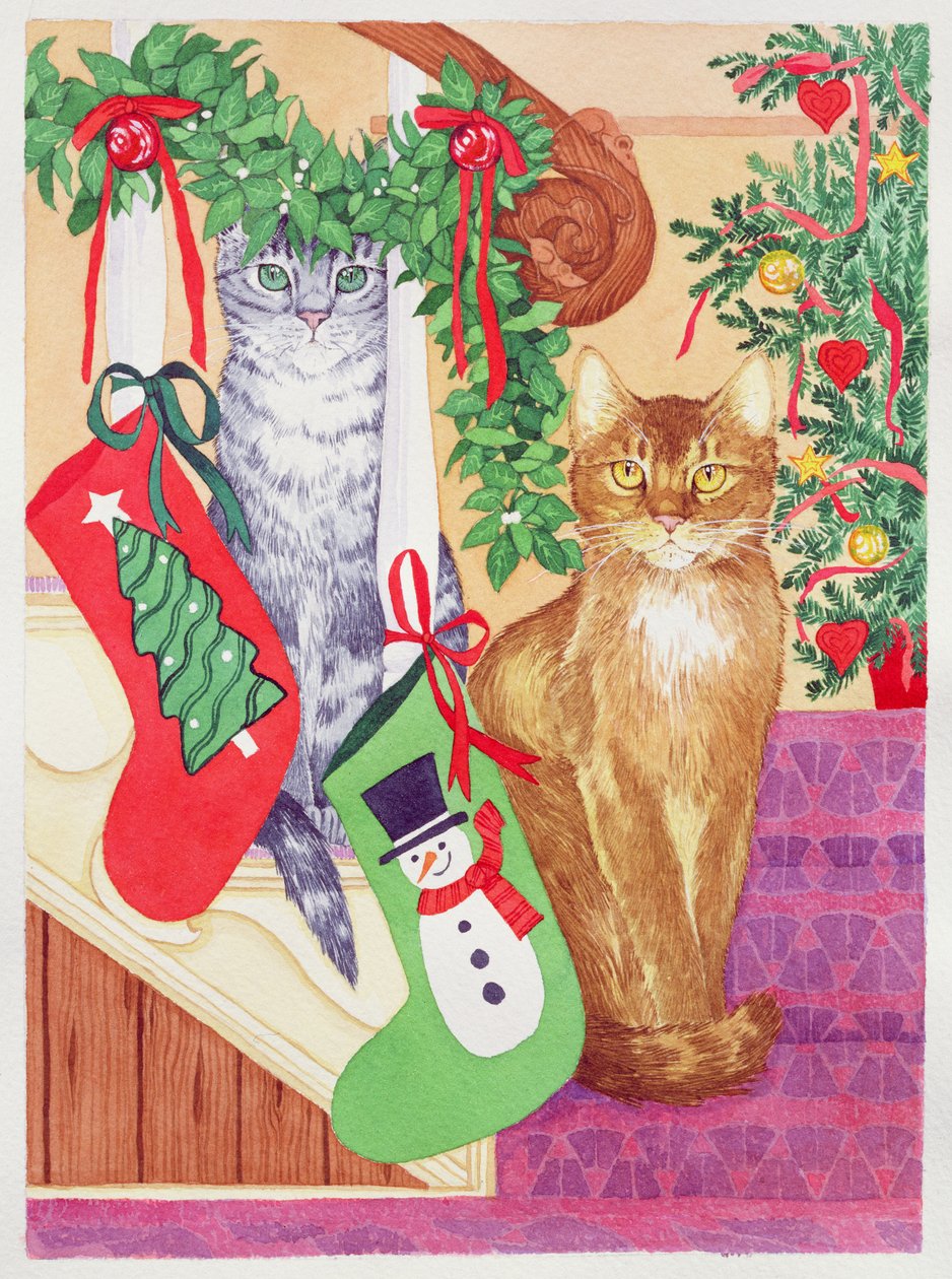 Cats on the Stairs by Suzanne Bailey