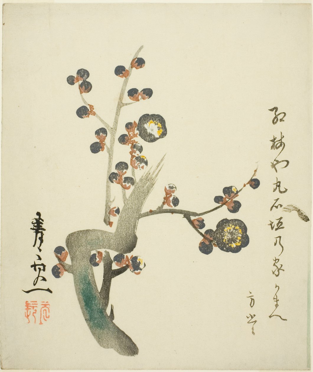 Blossoming Red Plum Branch by Suzuki Kiitsu
