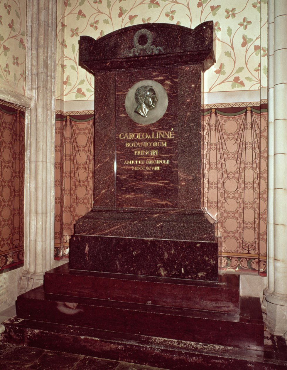 The tomb of Carl Linnaeus (1707-78) by Swedish School