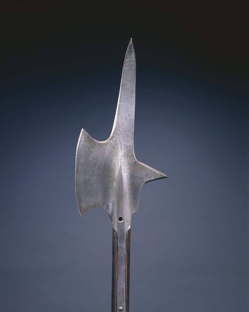 Halberd by Swiss School