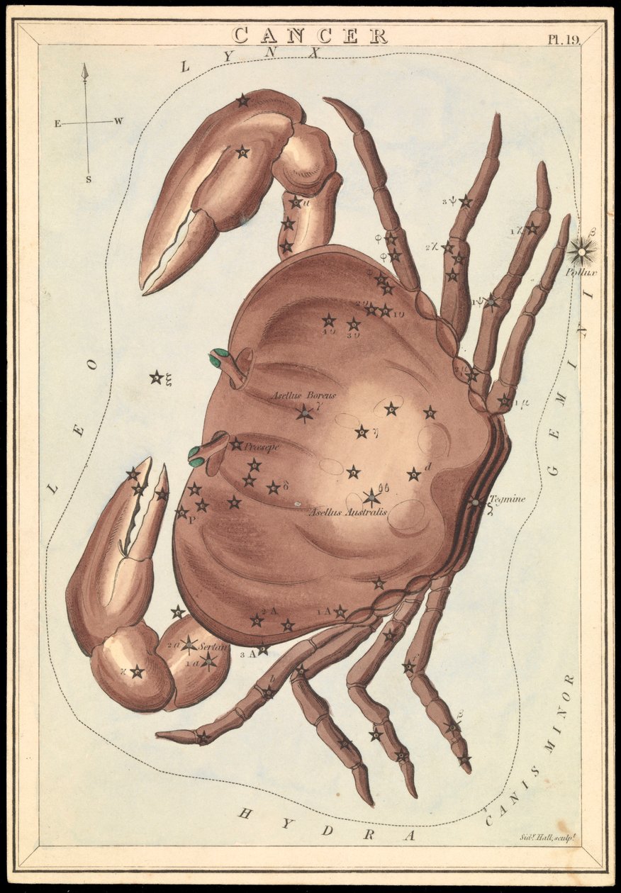 Cancer, c.1825 by Sydney Hall