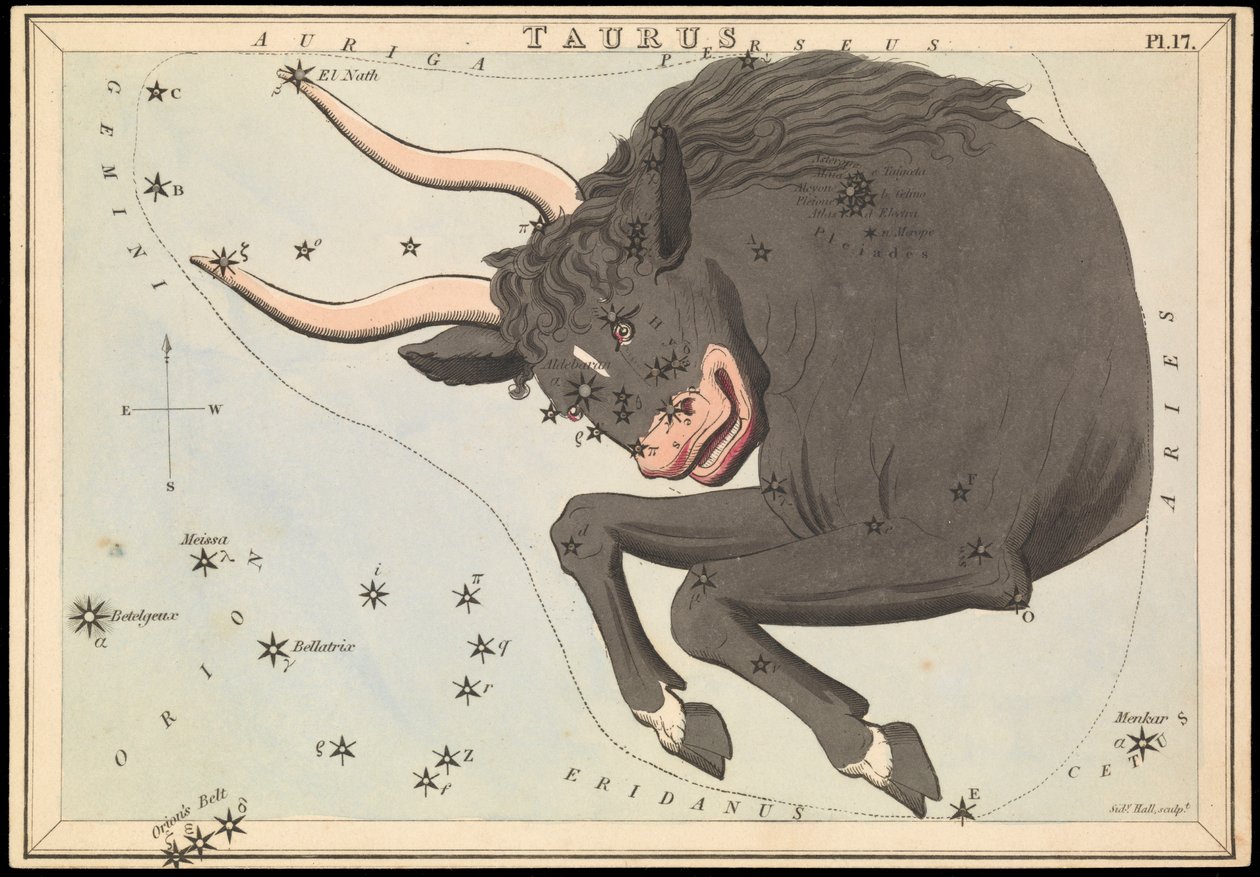 Taurus, c.1825 by Sydney Hall