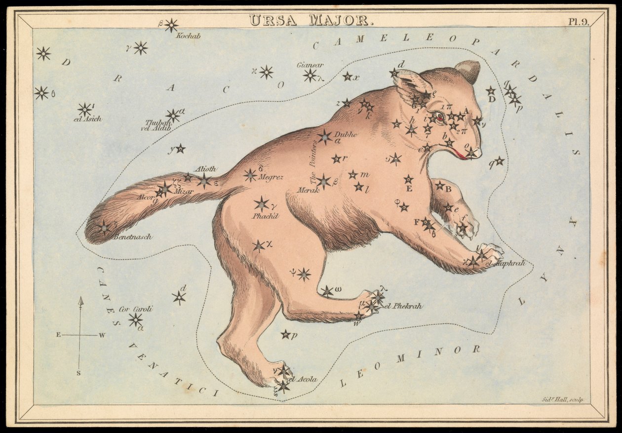 Ursa Major by Sydney Hall