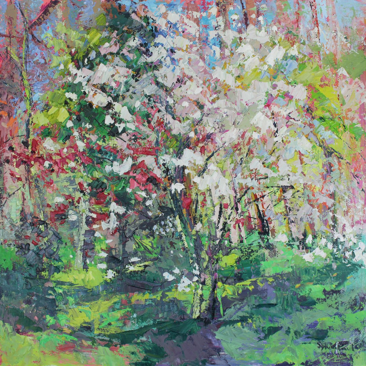 Blossom in the Wood by Sylvia Paul