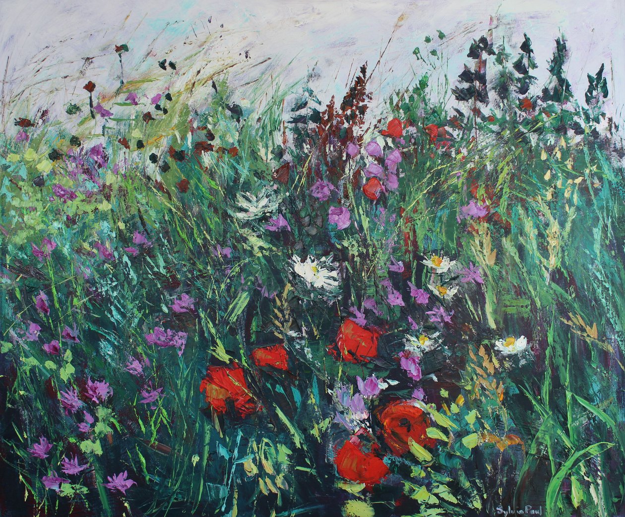 Wild Flower Meadow by Sylvia Paul