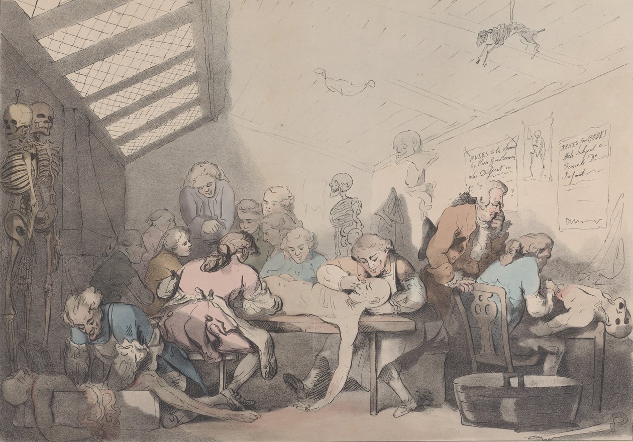The Dissecting Room by T. C. Wilson