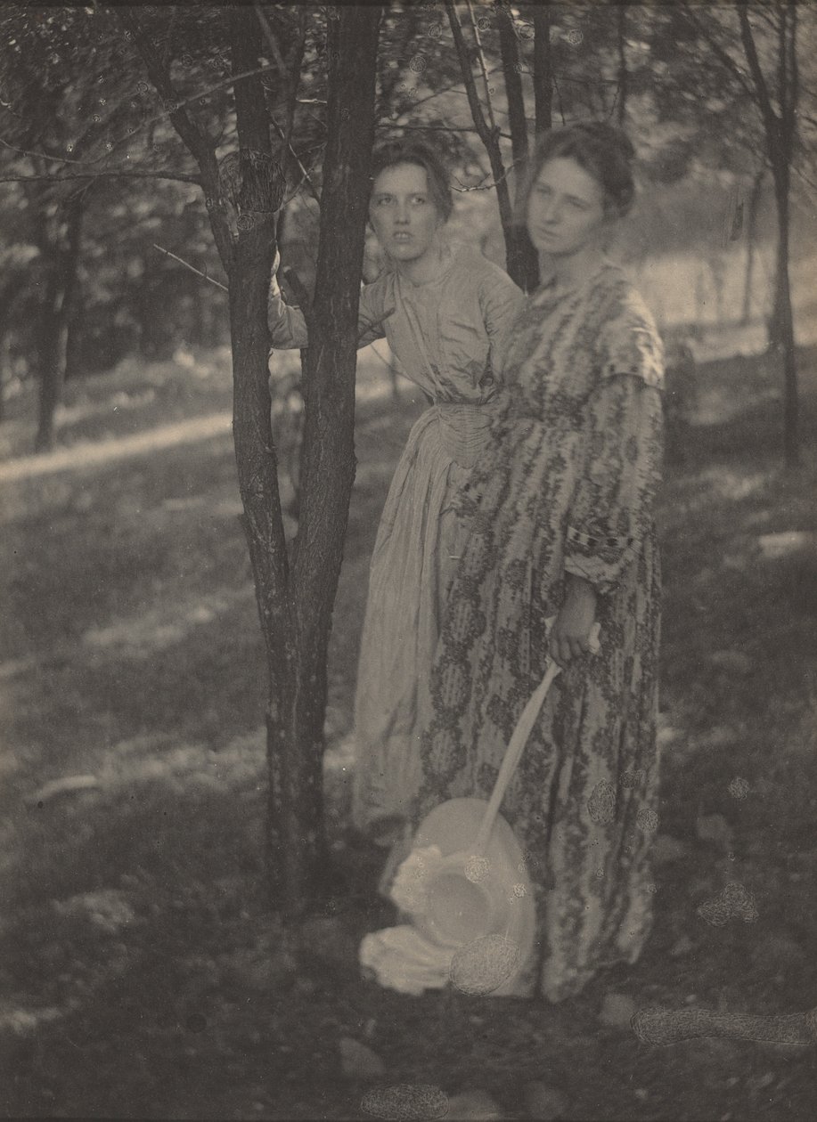 In the Woods, c. 1899 by T. M. Edmiston