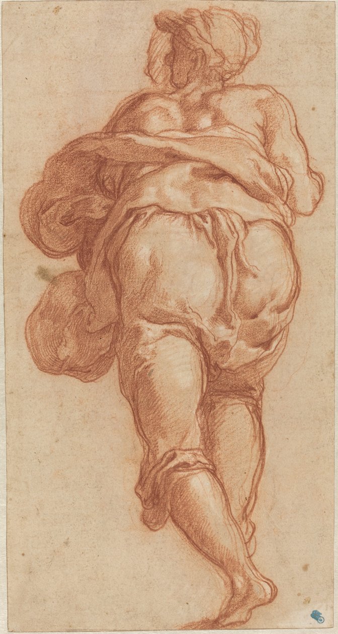 A Man Seen from Behind by Taddeo Zuccaro