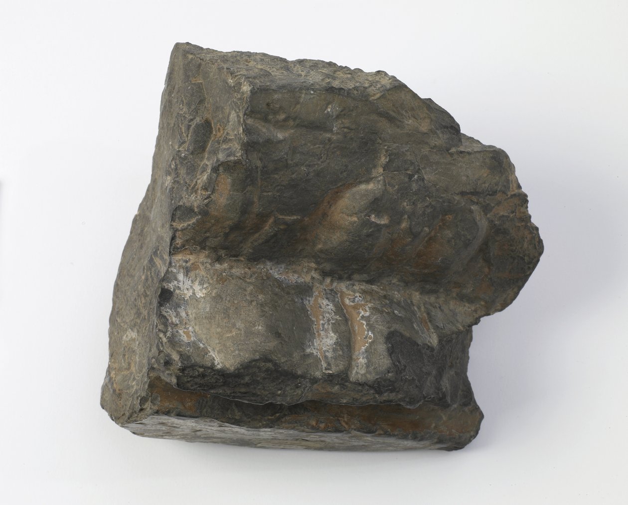 Fragment of a Lotus Pedestal by Tang Dynasty Chinese School