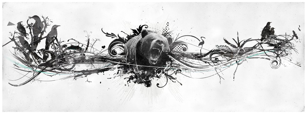 Bear Growl by Teis Albers