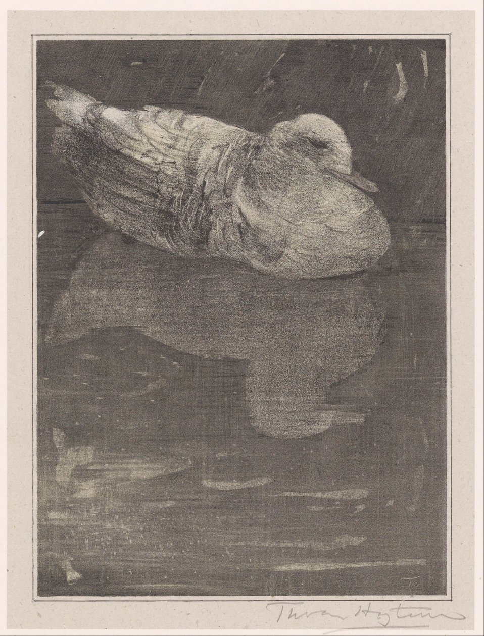 Floating Duck by Theo van Hoytema (signed by artist)