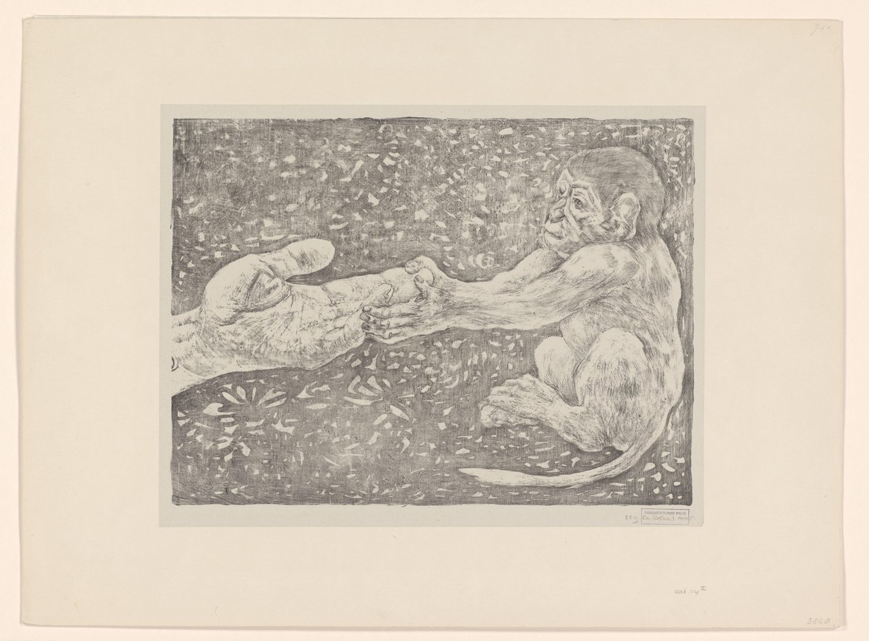 Monkey Grabbing an Outstretched Hand by Theo van Hoytema