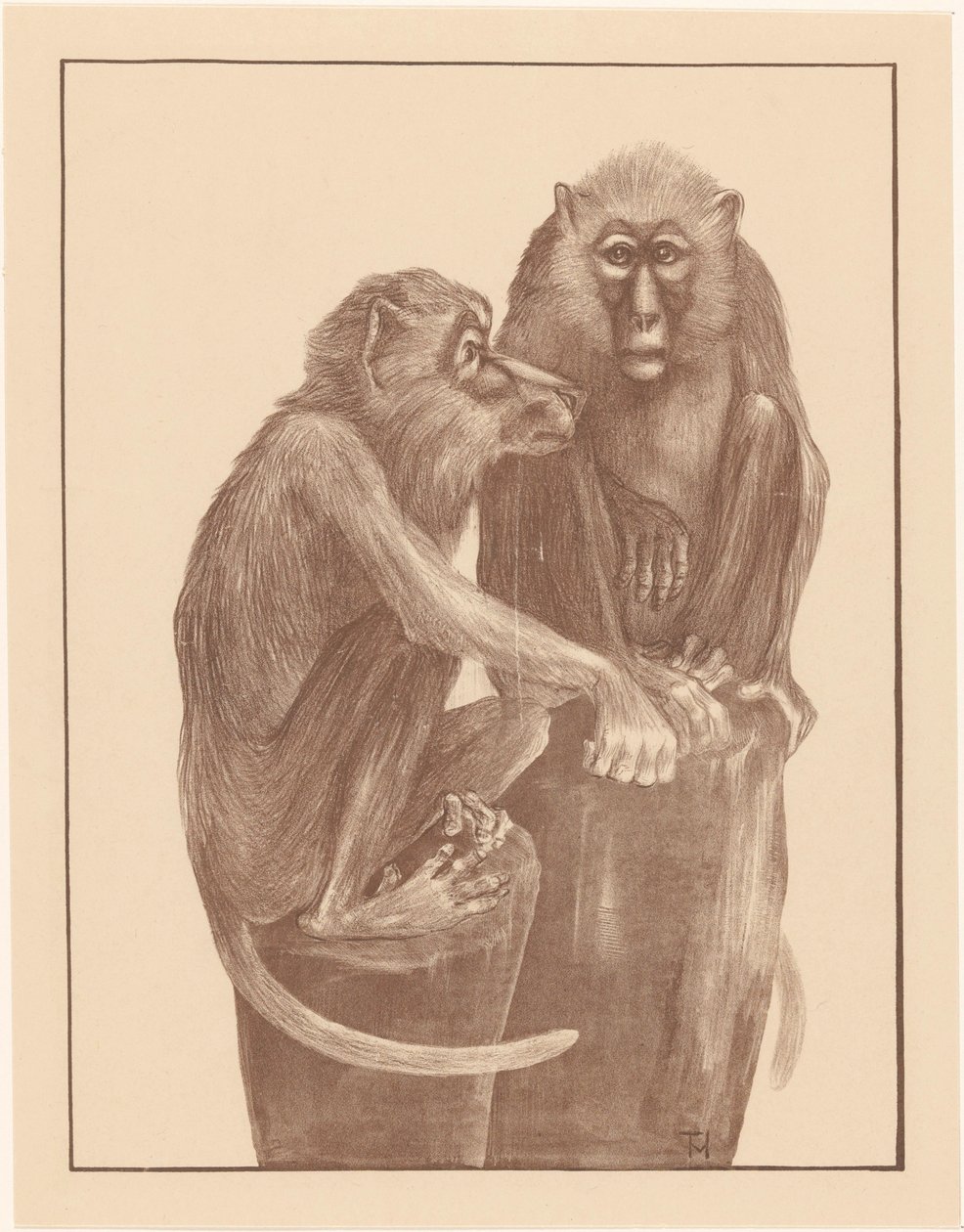 Two Monkeys on Tree Stumps (Animal Studies) by Theo van Hoytema
