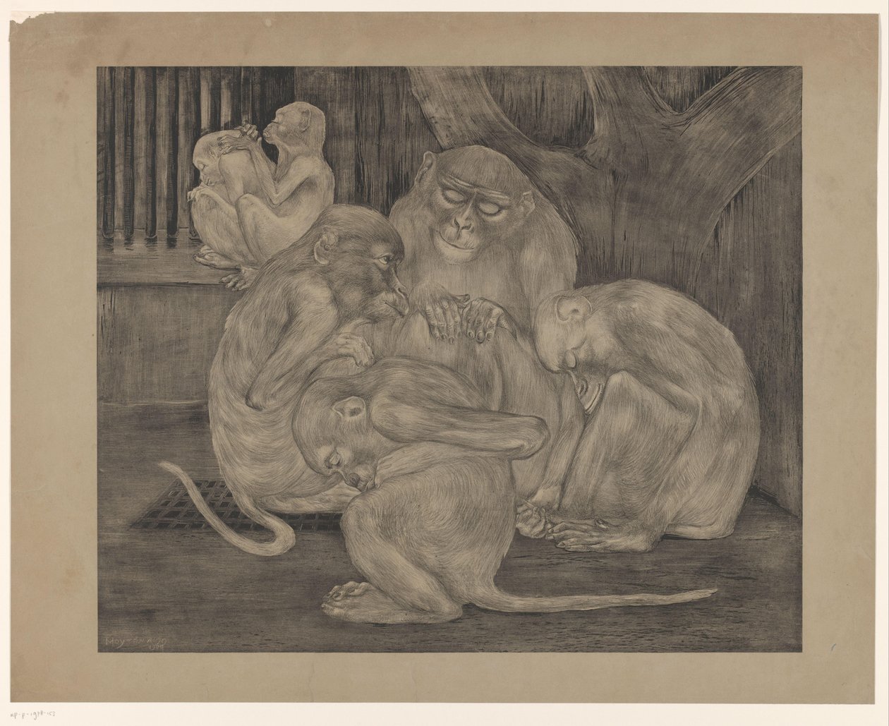 Five Monkeys in a Cage by Theo van Hoytema