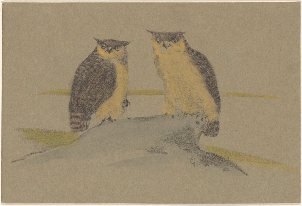 Greeting Card with Two Owls by Theo van Hoytema