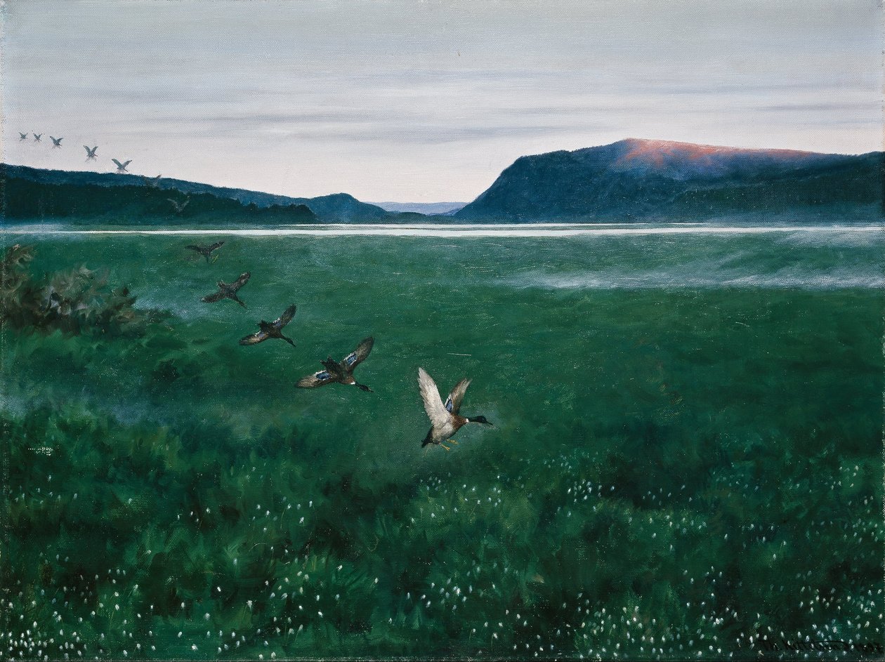 The Twelve Wild Ducks by Theodor Kittelsen