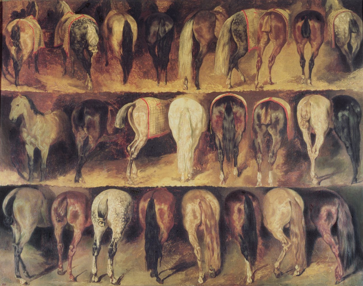 Horses