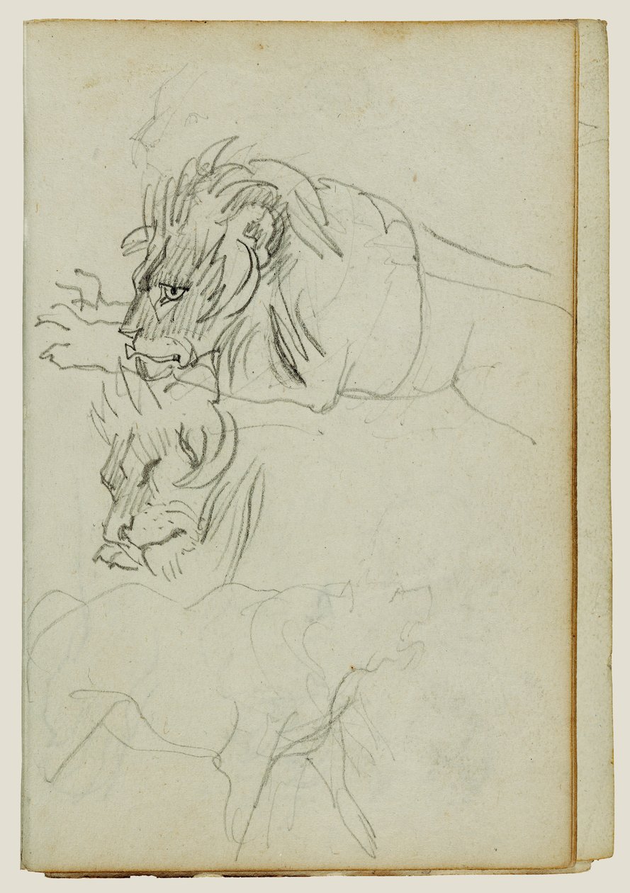 Three Lion Studies by Theodore Gericault