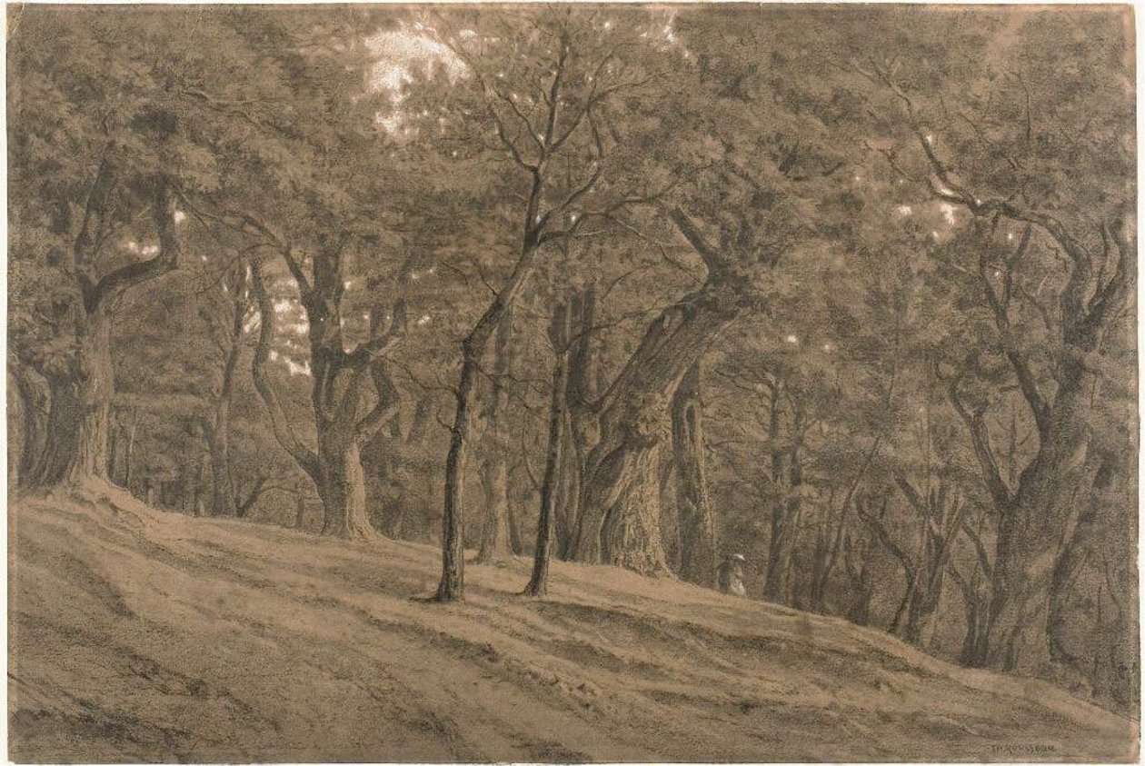 In the Forest of Fontainebleau by Theodore Rousseau