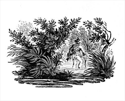 Fording the River, from Land Birds by Thomas Bewick