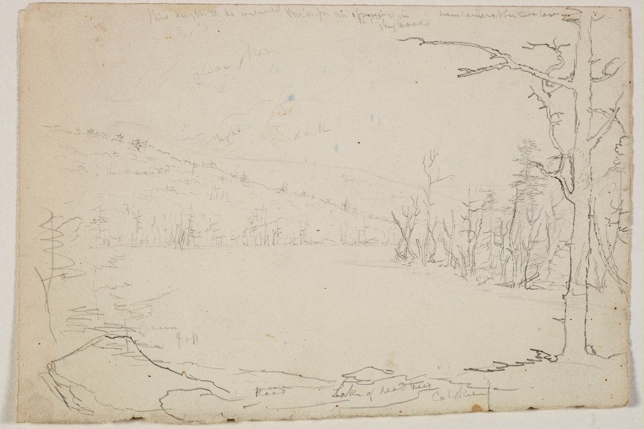 Lake of Dead Trees, Catskill by Thomas Cole