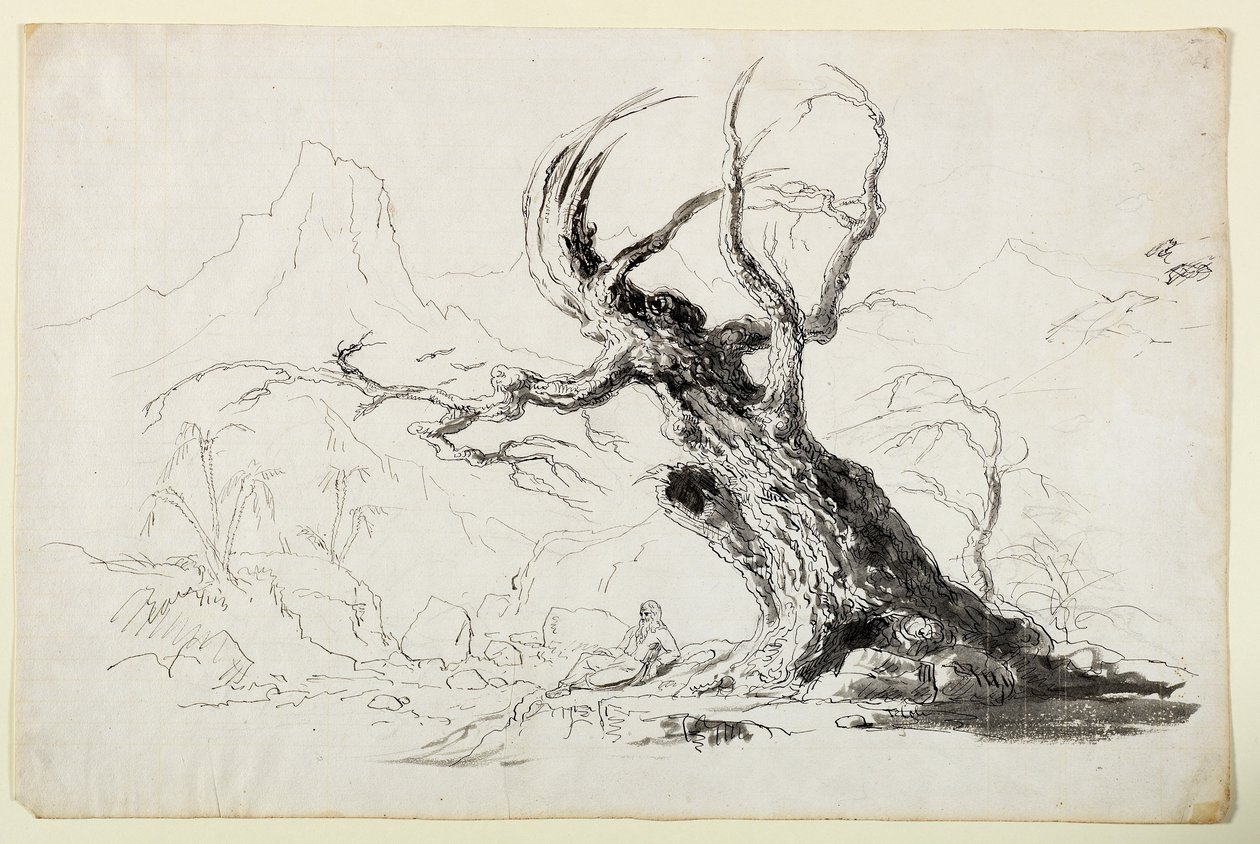 Large Gnarled Tree with Bearded Man Seated Below by Thomas Cole