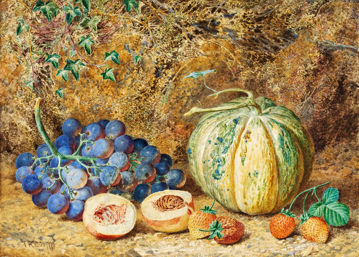 Grapes and Strawberries, 1877 by Thomas Collier