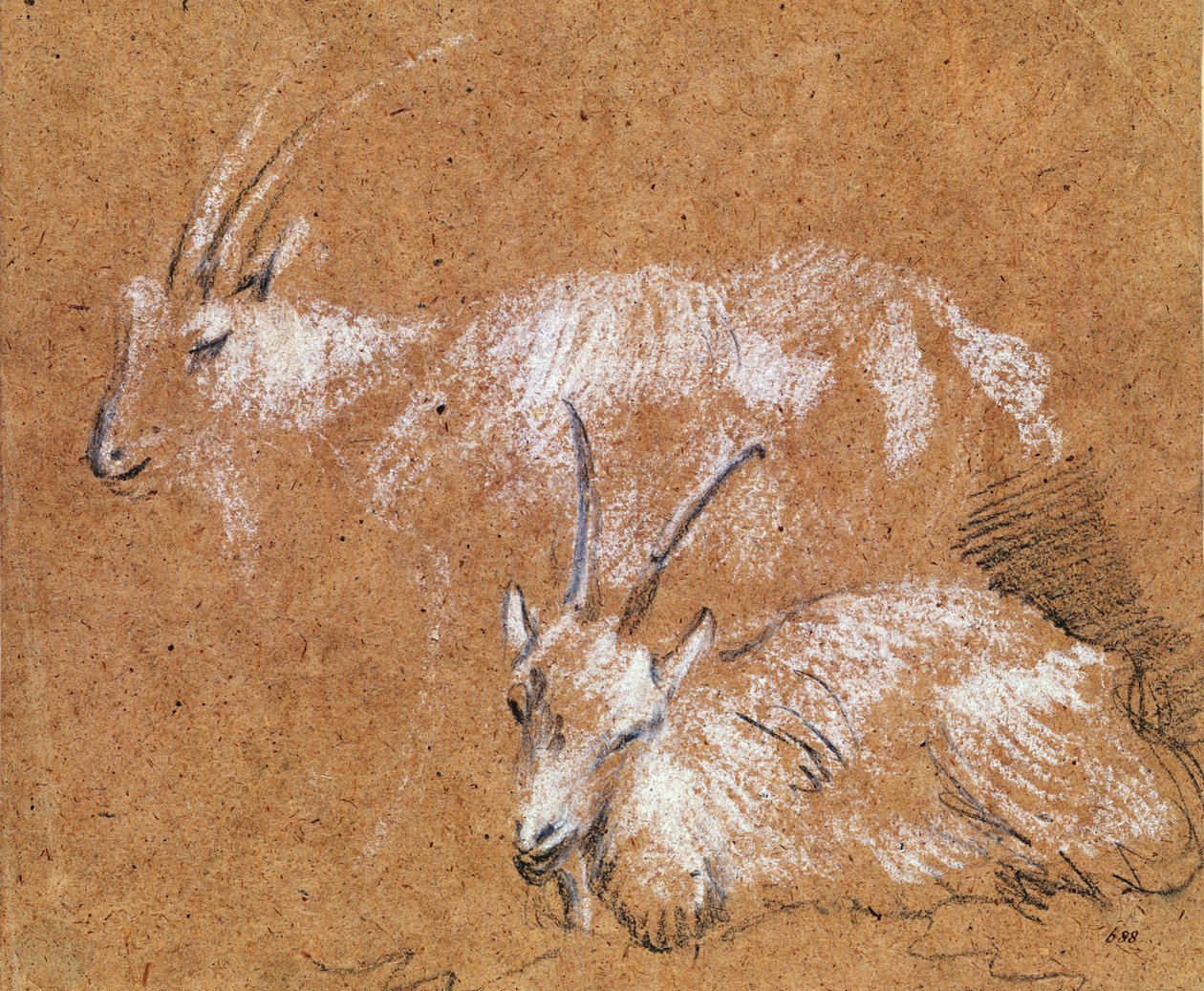 Study of Goats by Thomas Gainsborough