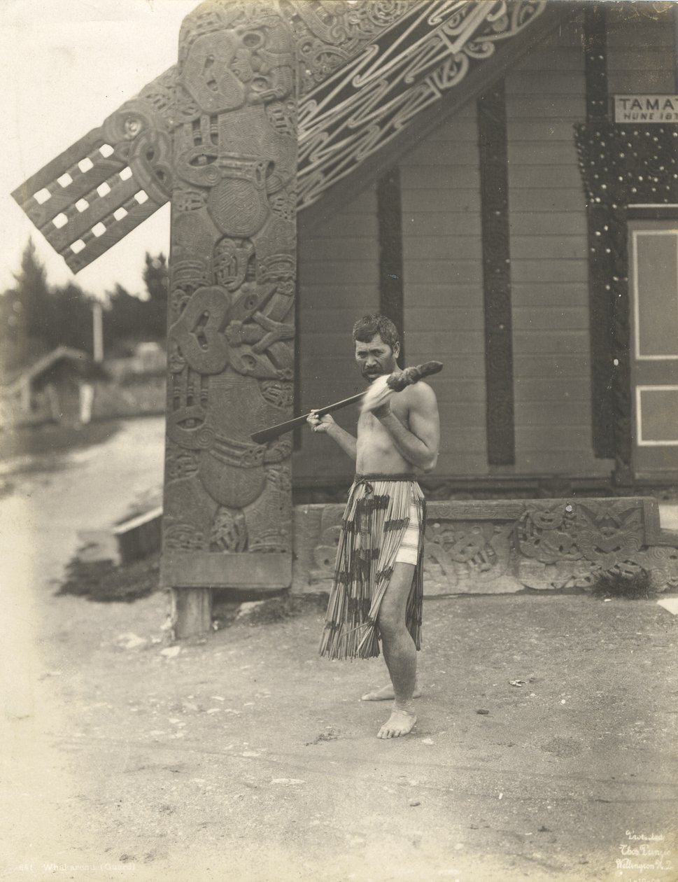 Whakaronu (Guard) 1905 by Thomas Pringle