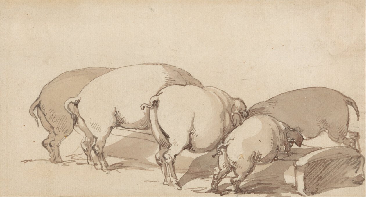 Pigs at a Trough by Thomas Rowlandson