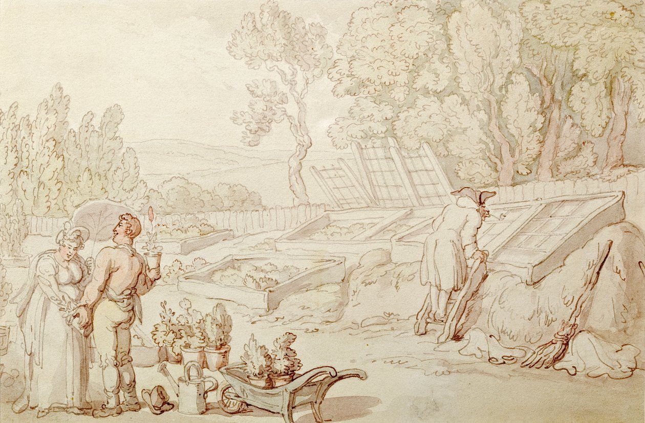 The Amorous Gardener by Thomas Rowlandson