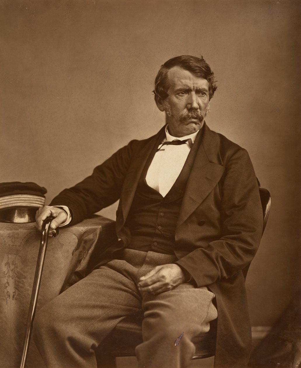 David Livingstone (Original) by Thomas Annan